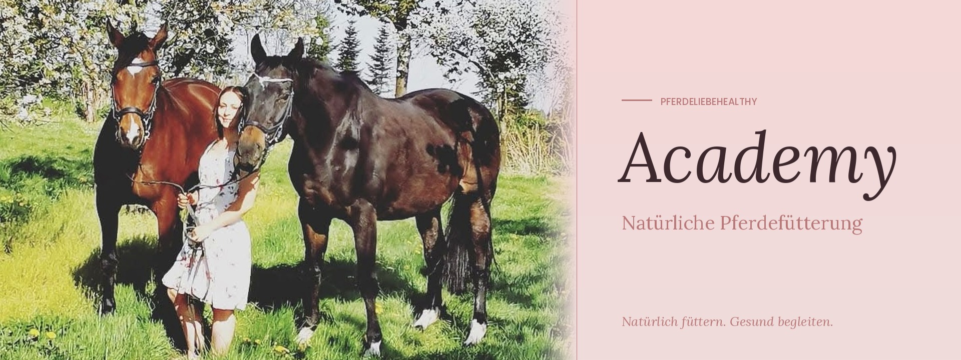 Pferdeliebehealthy Academy